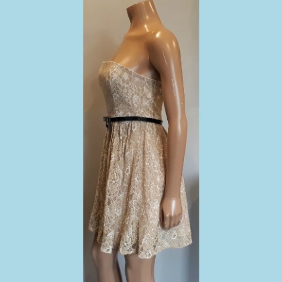 🩵MAX & CLEO Strapless Lace Dress Fit & Flare Bridal Shower Cocktail Neutral - Picture 4 of 12